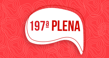 197ª PLENA: 13/10/24, via Zoom