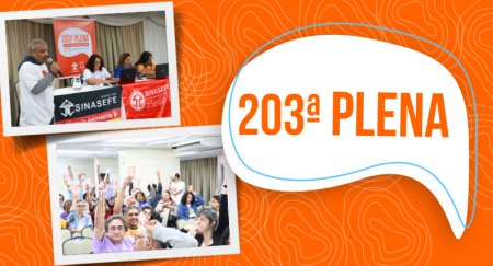 203ª PLENA: resumo dos debates