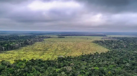 Agronegócio e mineração impedem combate ao desmatamento