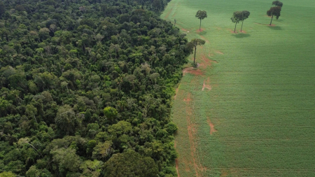 Recursos da Terra para 2025 já acabaram