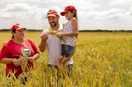 MST faz 20ª Festa da Colheita do Arroz Agroecológico e encara desafios para manter produção