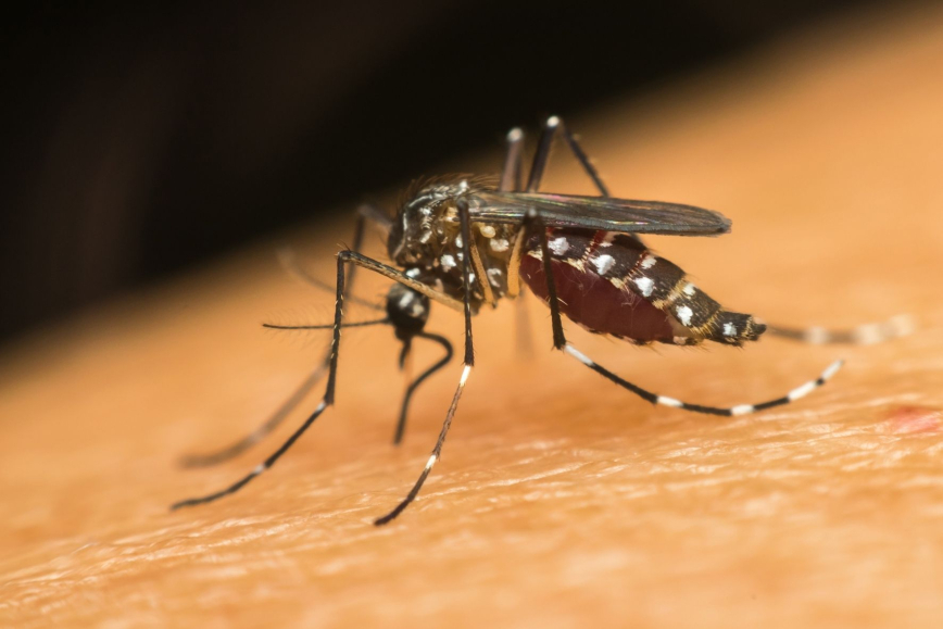 RS confirma primeira morte por dengue em 2023